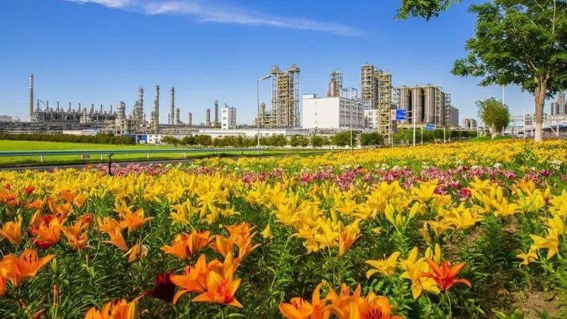 有机化工原料纯度检测：关键指标与专业机构选择**